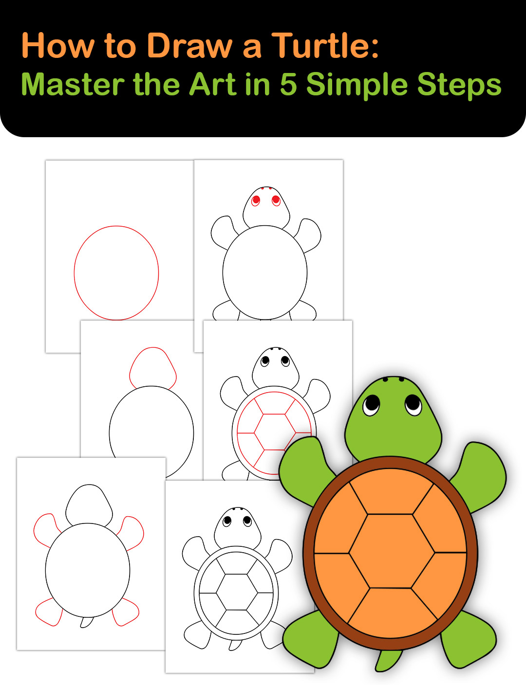 How to Draw a Turtle: Master the Art in 5 Simple Steps - Kids Educator