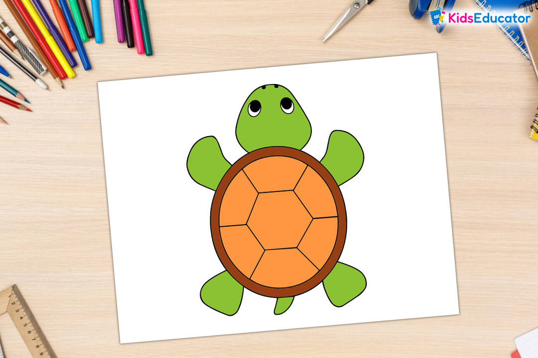 Color your drawn turtle