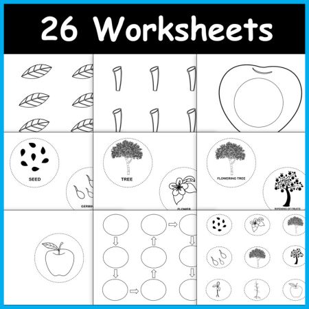 Apple Life Cycle Craft Activity Worksheets for Kids