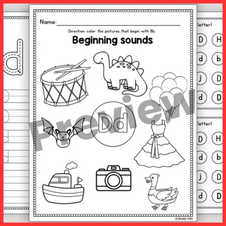 Letter D Alphabet Workbook