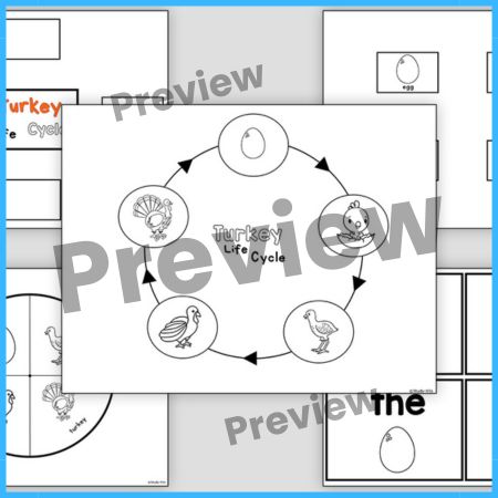 Thanksgiving Turkey Craft and Life Cycle