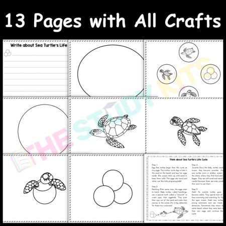 Sea Turtle Life Cycle and Craft Activities