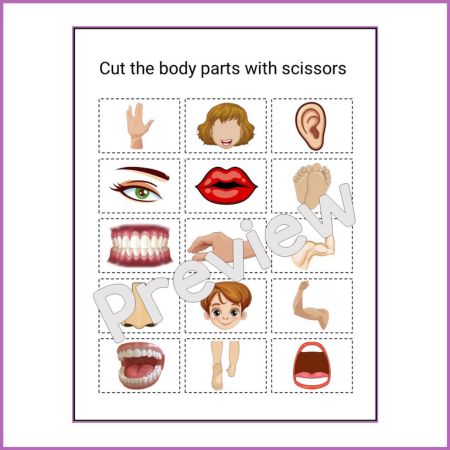 Body Parts Matching Game Activities