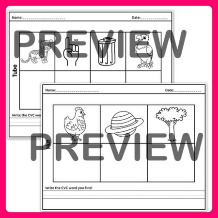 Secret CVC Words worksheets