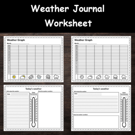 Weather Chart Weather Journal Activities